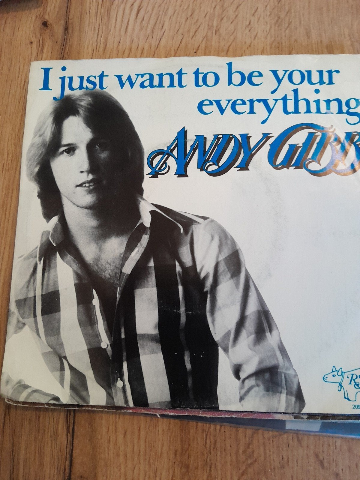 andy gibb 7 inch l just want to be your everything, Ophalen of Verzenden, Zo goed als nieuw, Pop