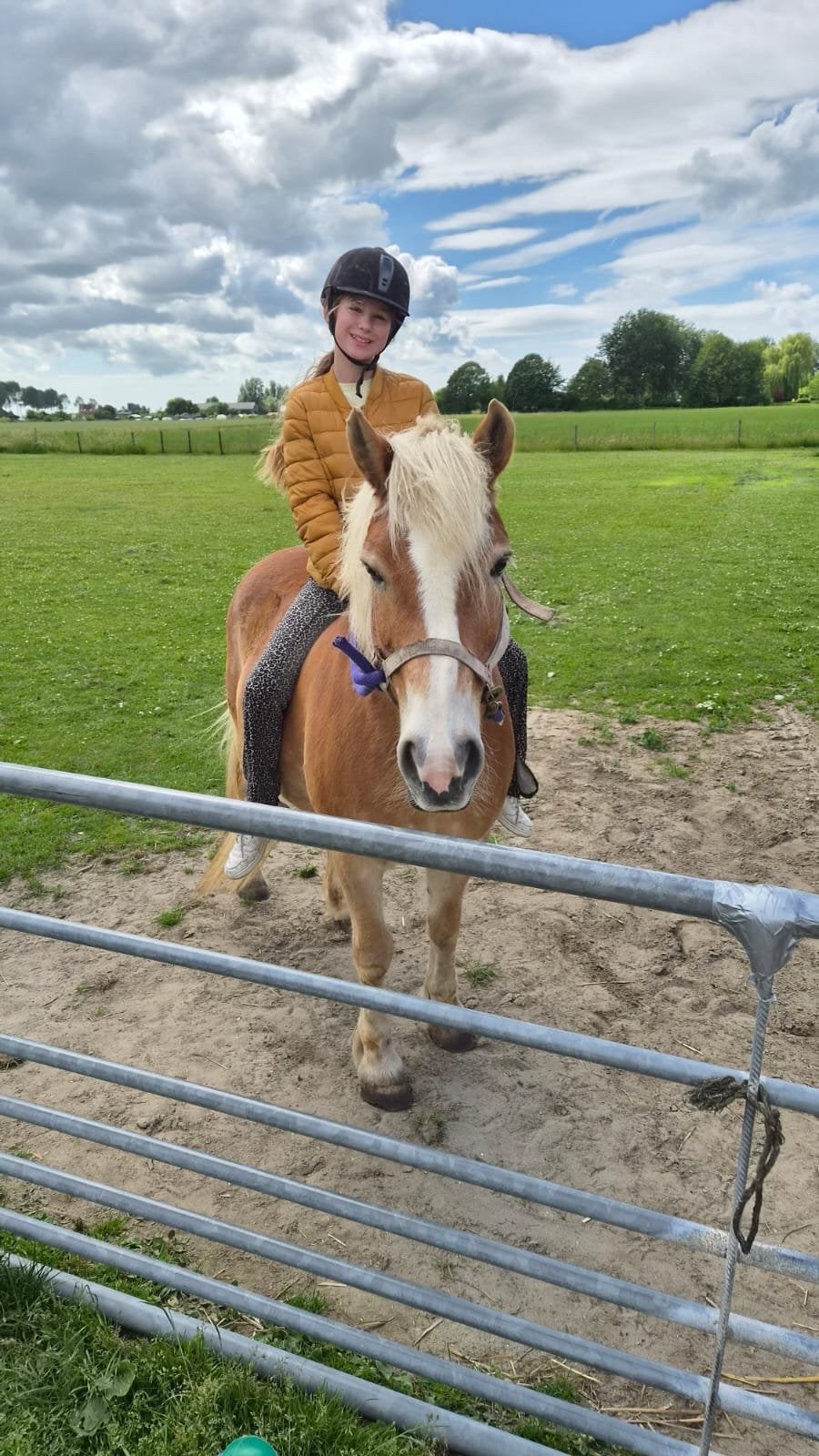 Verzorgster aangeboden/verzorg pony gezocht, Dieren en Toebehoren, Ophalen of Verzenden