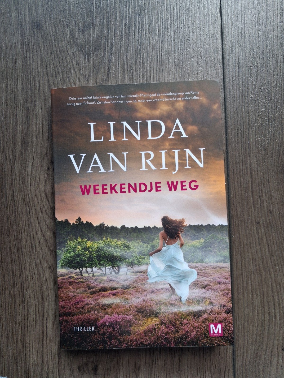 leuk boek, Boeken, Chicklit, Ophalen of Verzenden, Zo goed als nieuw, Linda van Rijn