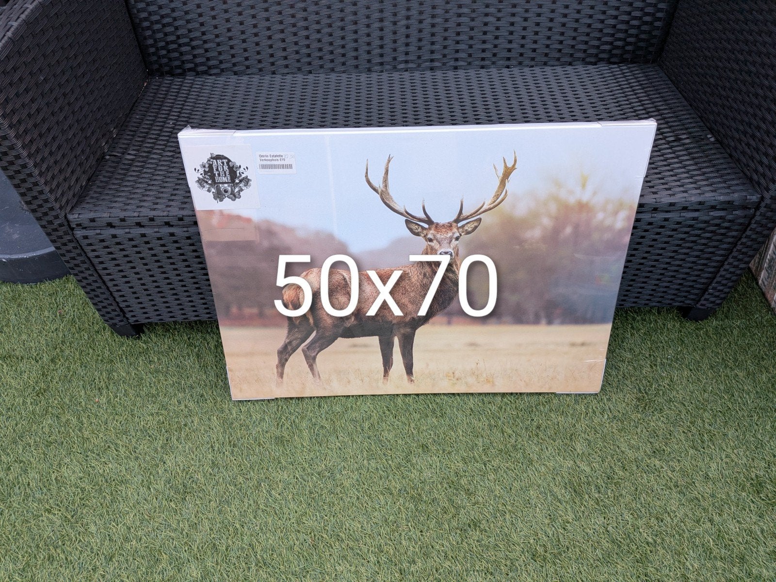 Schilderij op canvasdoek eindezomeractie, Ophalen of Verzenden, Nieuw, Minder dan 50 cm, Schilderij