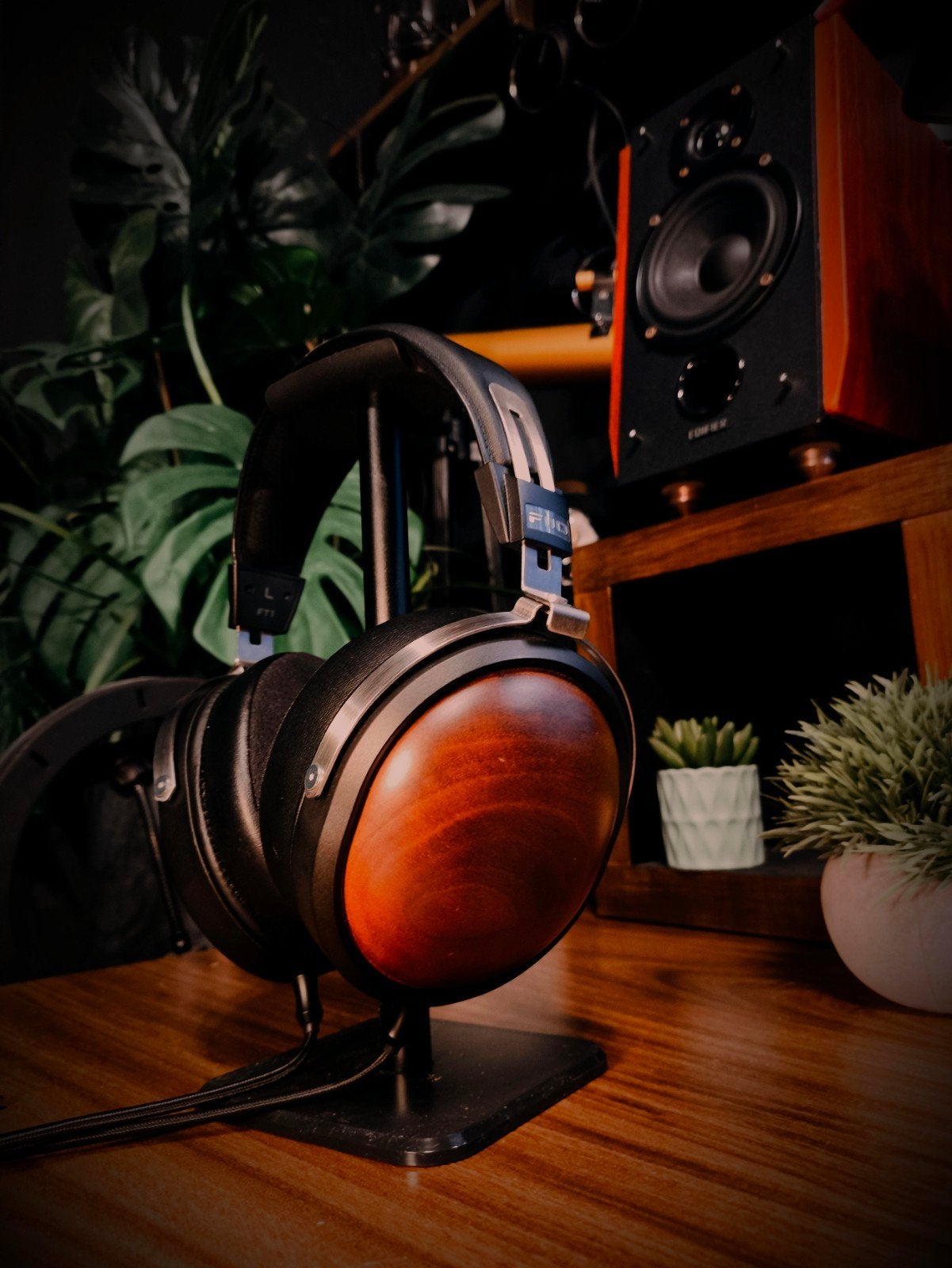 FiiO FT1 closed back ZGAN met alle bijhorende accessoires., Computers en Software, Headsets, Ophalen of Verzenden, Over-ear, Bedraad