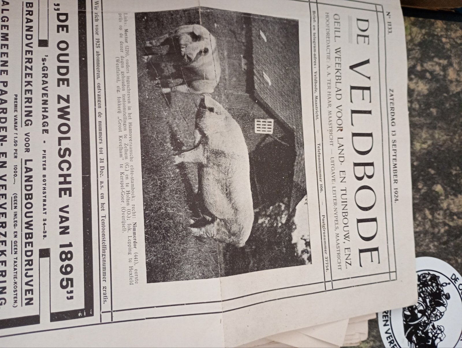 De Veldbode Weekblad (1924), Ophalen of Verzenden, Gelezen, Krant