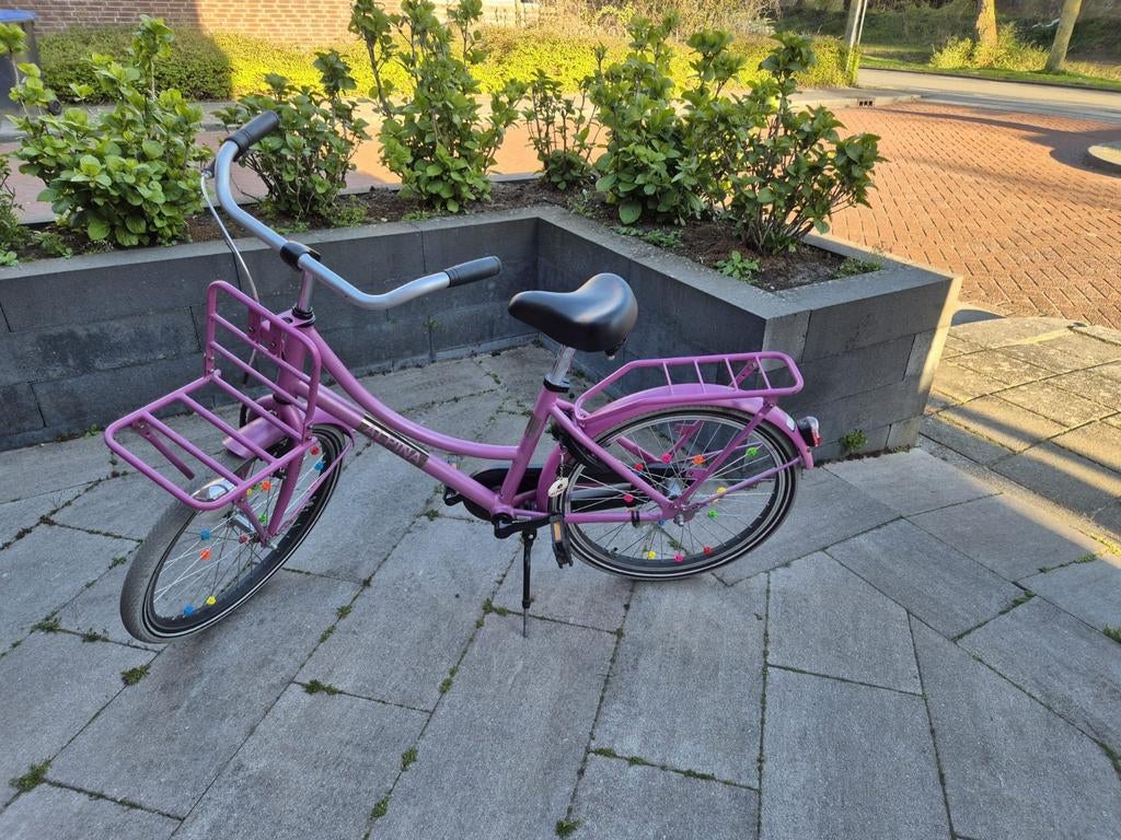Alpina meisjes fiets 22 inch, Ophalen, 22 inch, Handrem