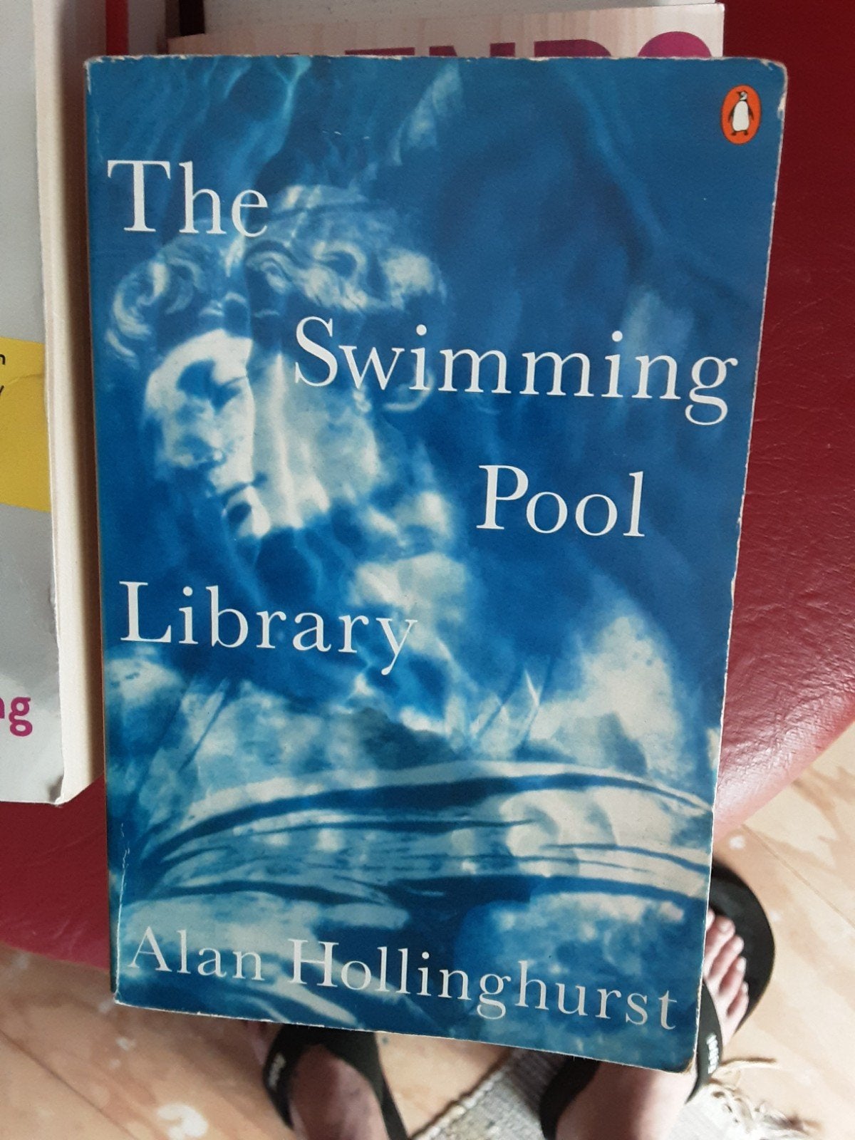 Alan Hollinghurst, Ophalen of Verzenden, Gelezen