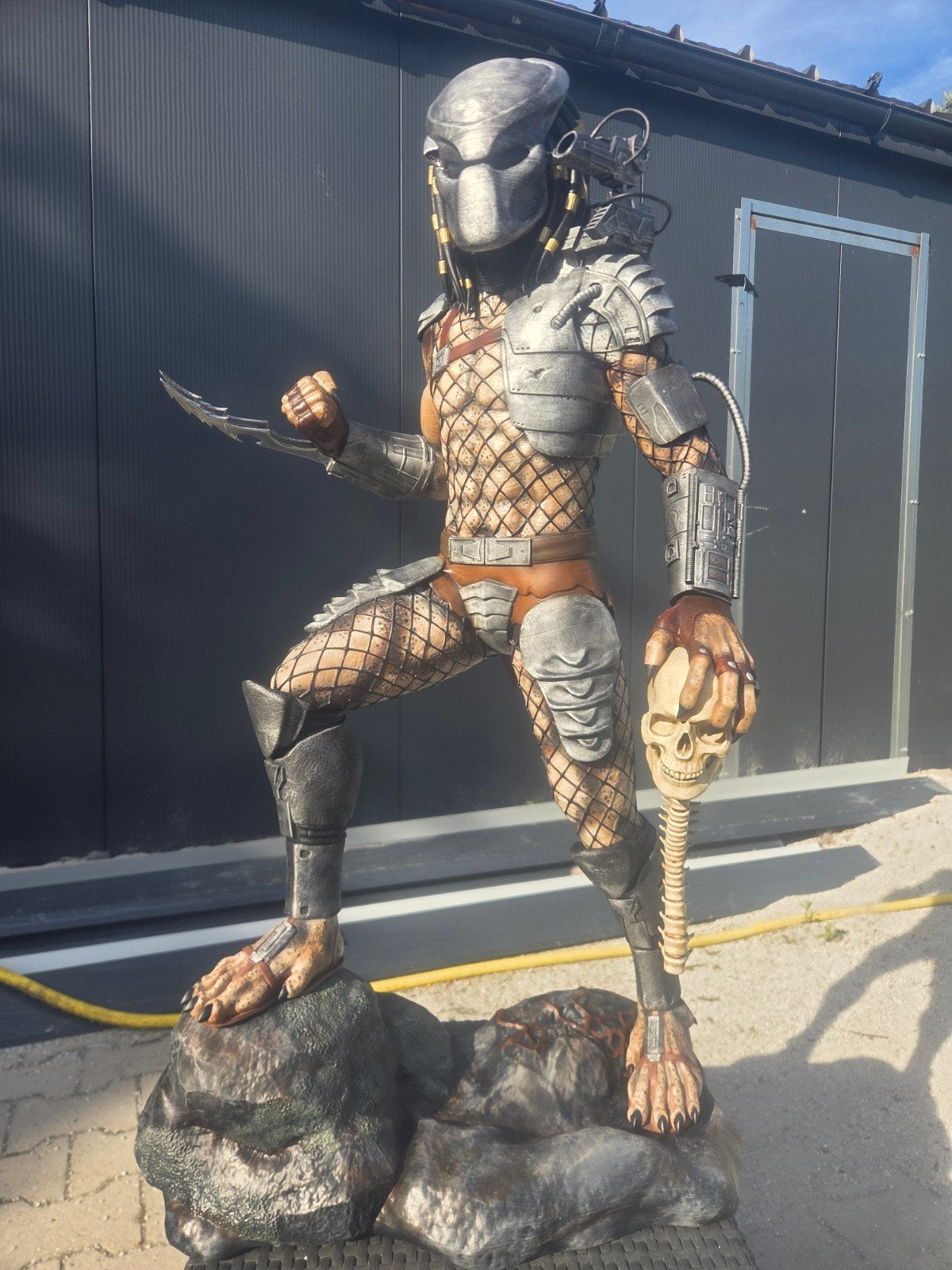 predator, Ophalen of Verzenden