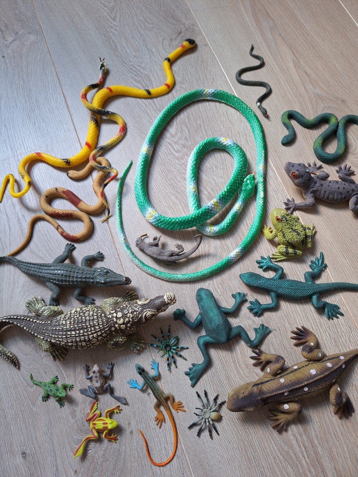 Reptielen en amfibieën speelgoed, Ophalen of Verzenden, Gebruikt, Jongen of Meisje