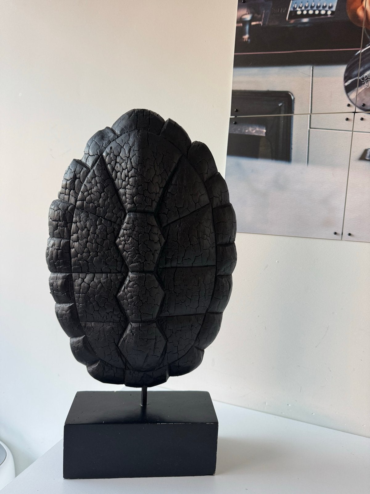 Unieke sculptuur van verkoold hout - Schildpad, Overige onderwerpen, Ophalen of Verzenden, Handgemaakt, Beeld