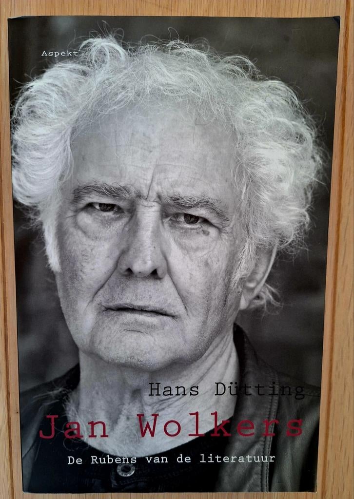 H. Dütting - Jan Wolkers, Boeken, Literatuur, Zo goed als nieuw, Ophalen of Verzenden