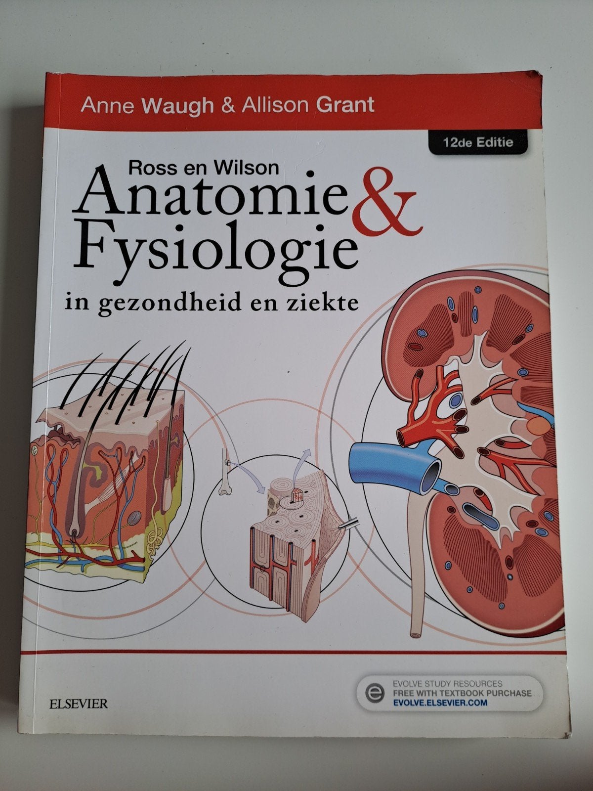 9780702069413 Anatomie & Fysiologie, Ophalen of Verzenden, Zo goed als nieuw, HBO, Anne Waugh & Allison Grant