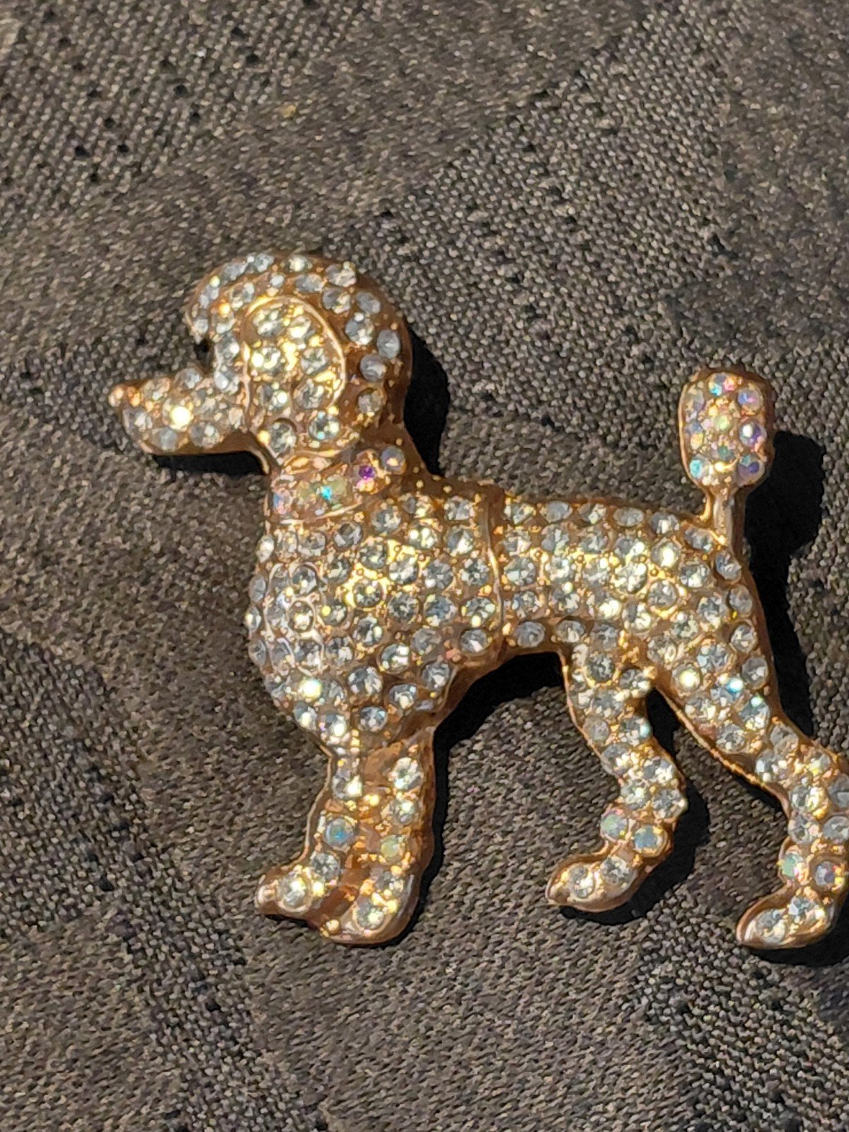 Broche Poedel met strass steentjes in goudkleurige kast, Sieraden, Tassen en Uiterlijk, Overige materialen, 4 tot 7 cm, Gebruikt
