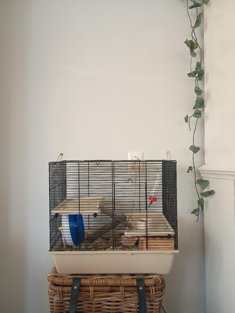 Kooi voor hamster, Dieren en Toebehoren, Kooi, Minder dan 75 cm, Zo goed als nieuw, Ophalen
