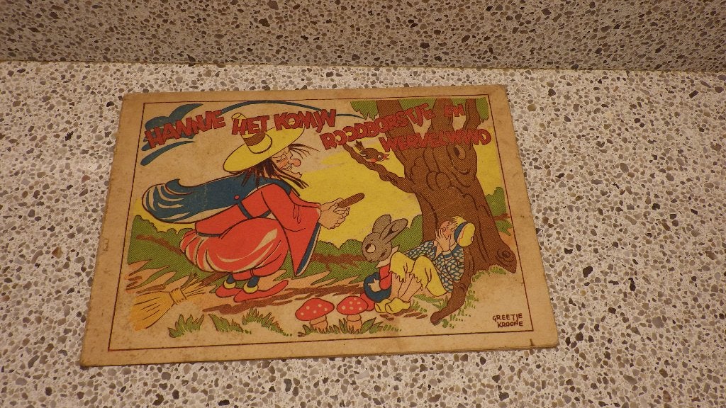 mooi retro boekje van Hanne, Ophalen of Verzenden, Overige typen