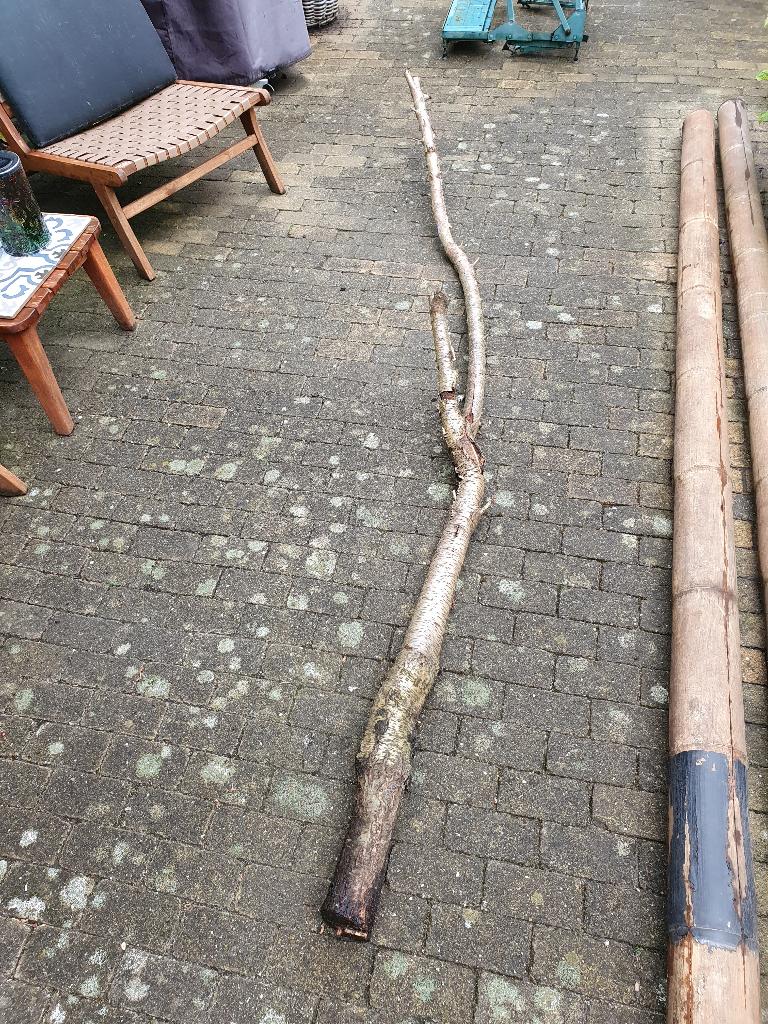 lange boomstam/tak voor bv in een voliere, Dieren en Toebehoren, Vogels | Hokken en Kooien, Ophalen, Gebruikt, Overige materialen