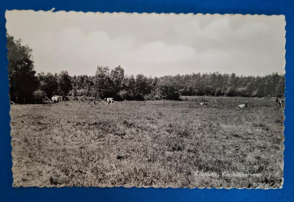 Ansichtkaart Kootwijk Kootwijkerveen 1963, Ophalen of Verzenden, 1960 tot 1980, Gelopen, Gelderland