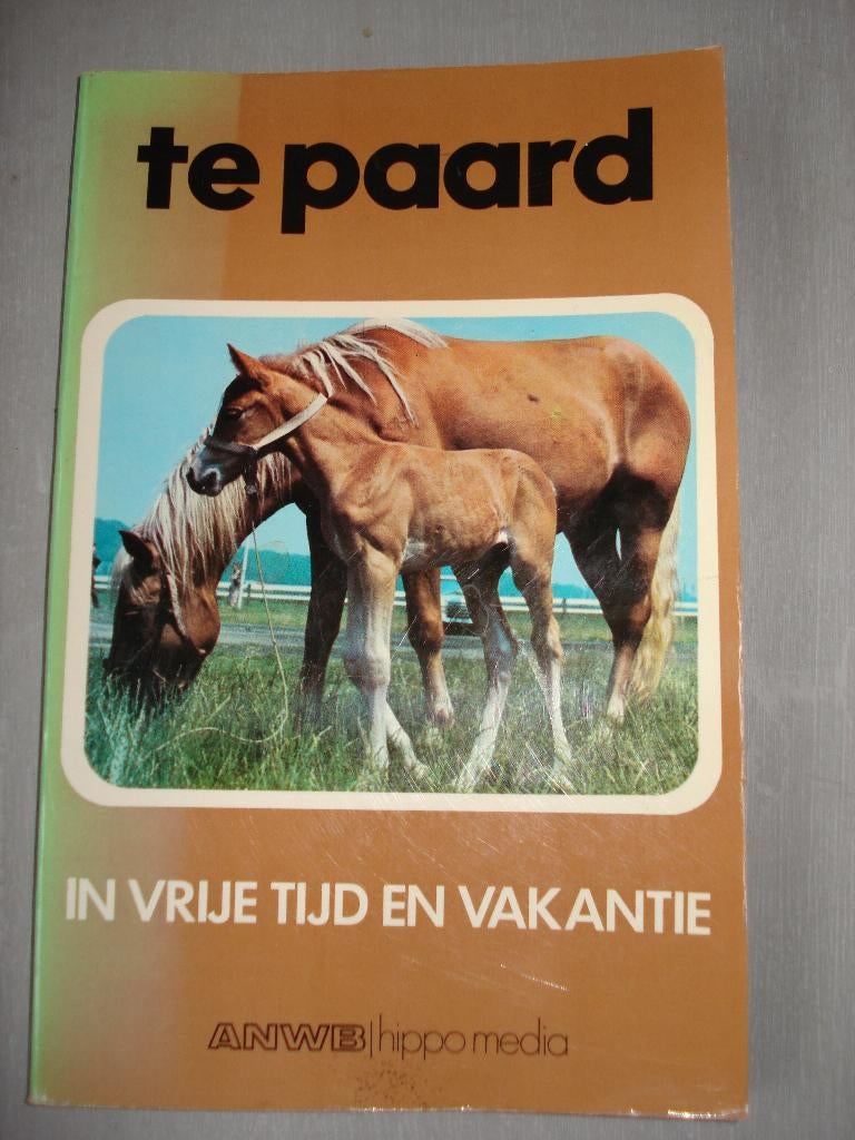 Te paard in vrije tijd en vakantie, Ophalen of Verzenden, Gelezen, Paarden of Pony's