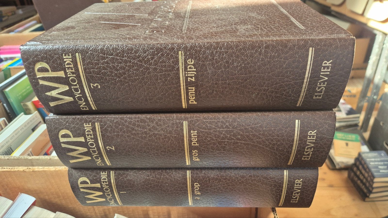WP Encyclopedie (3 delen), Boeken, Encyclopedieën, Ophalen of Verzenden, Gelezen, Algemeen