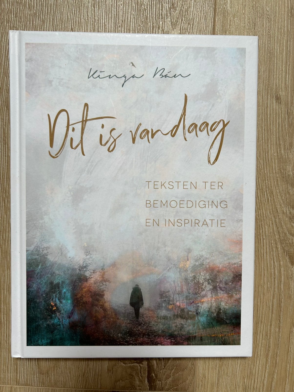 Dit is vandaag - Kinga Bán, Ophalen of Verzenden, Zo goed als nieuw