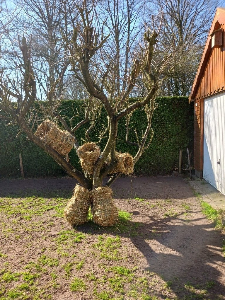 Eendenkorven gemaakt van riet en vlas, Ophalen, Nieuw, Overige materialen, Broedkooi of Kweekkooi