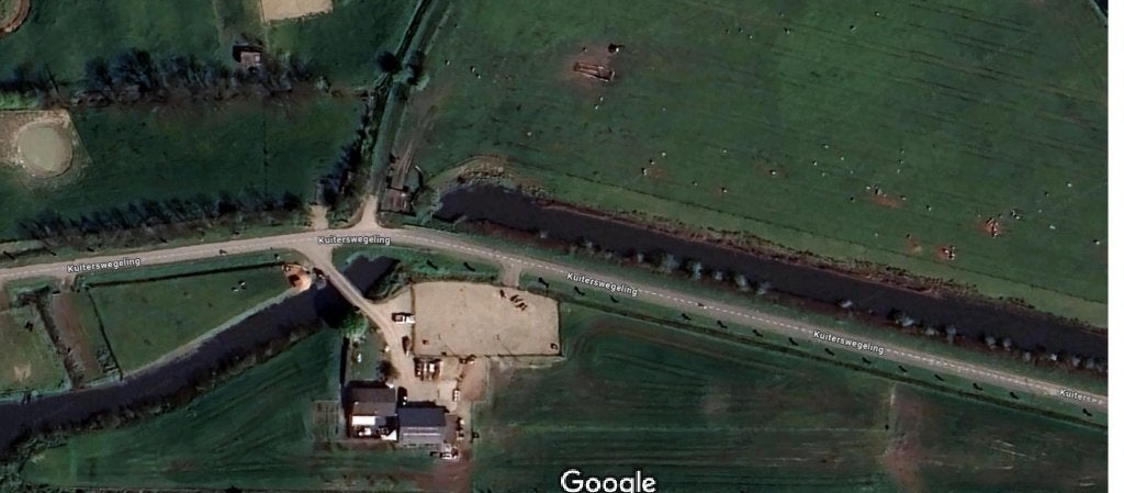 weidegang, Dieren en Toebehoren, Weidegang, 1 paard of pony