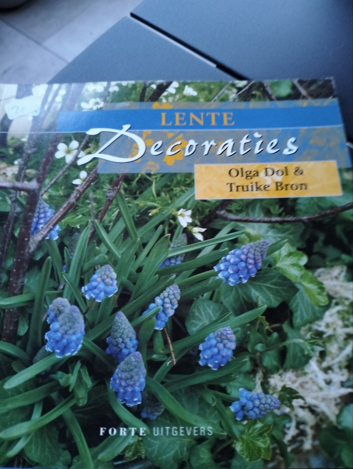 Lente Decoraties - Olga Dol & Truike Bron, Ophalen of Verzenden, Gelezen, Olga Dol & Truike Bron, Bloemschikken, Groendecoratie