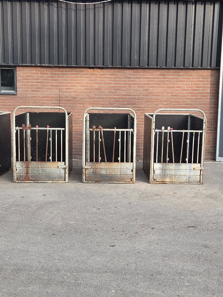 kalverboxen, Dieren en Toebehoren, Opfok