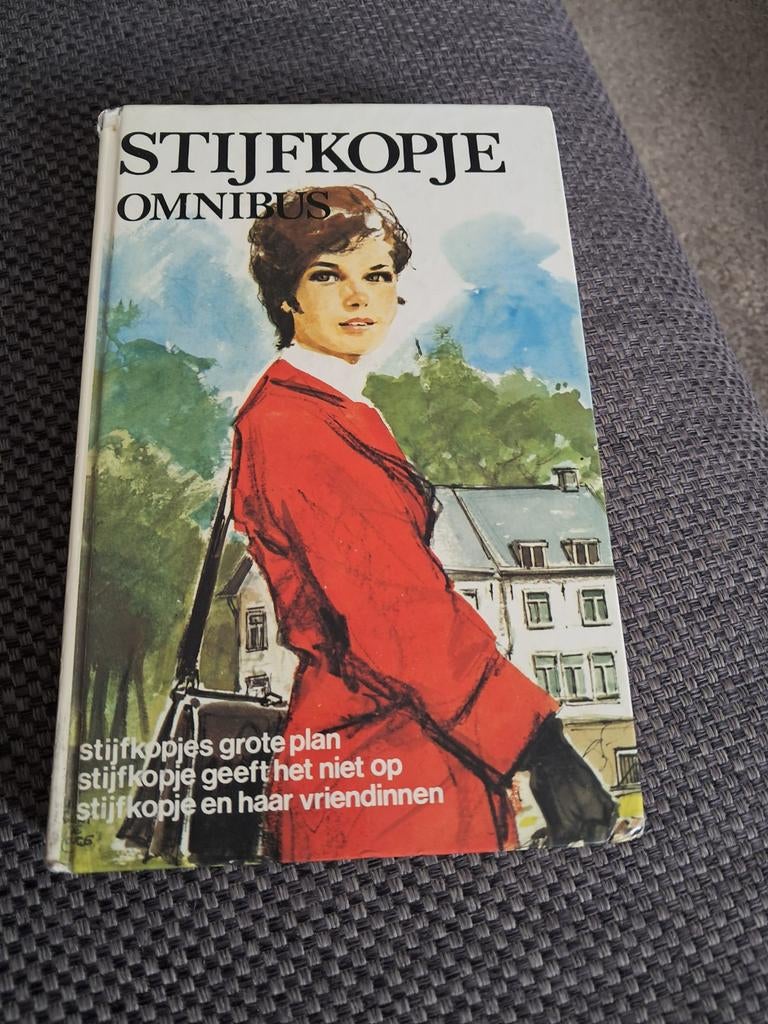 Boek stijfkopje is zeer netjes, Boeken, Ophalen of Verzenden, Zo goed als nieuw