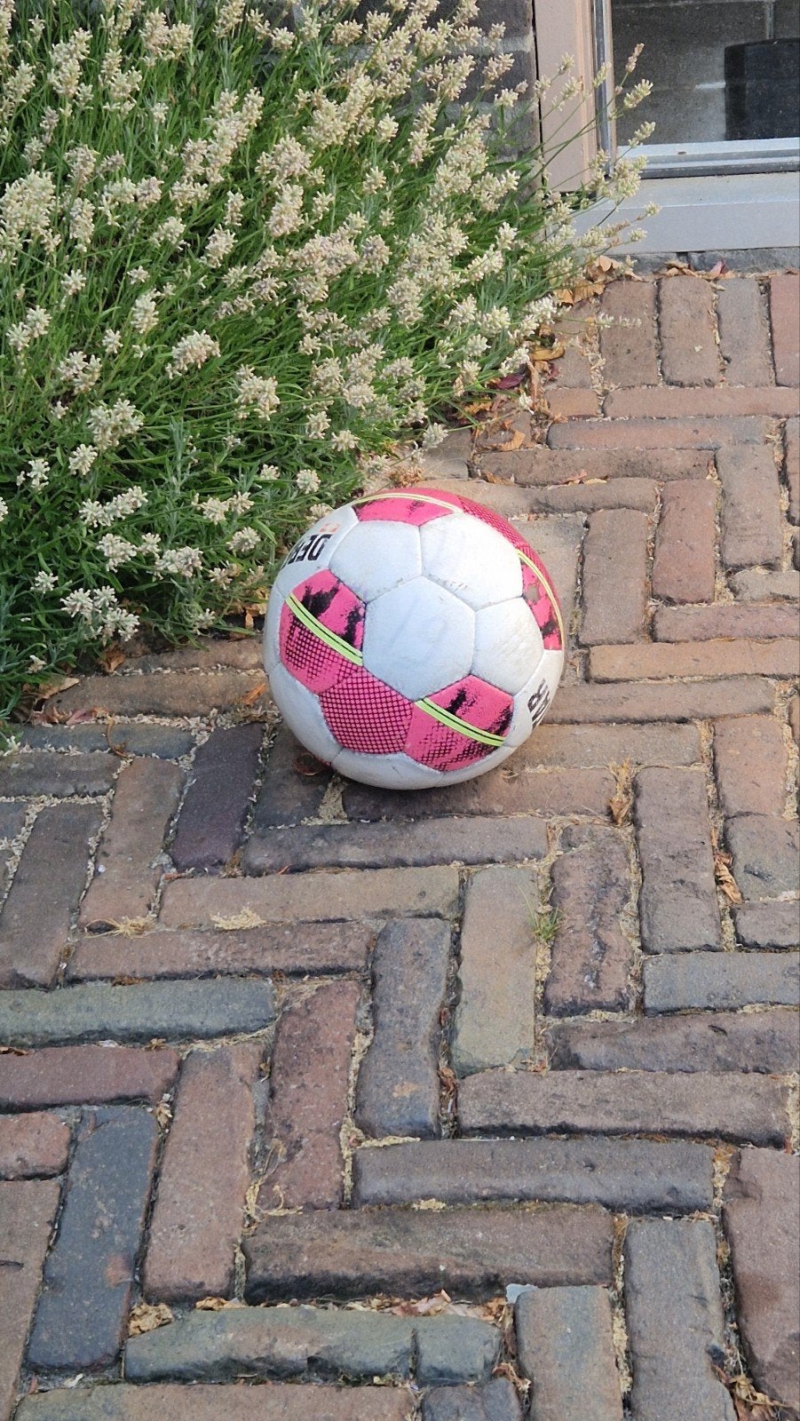 Debystar bal, Ophalen, Gebruikt