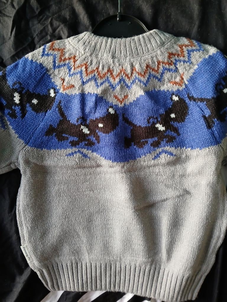 Takkie trui. Maat 98/104., Kinderen en Baby's, Jongen of Meisje, Trui of Vest, Nieuw, Ophalen of Verzenden