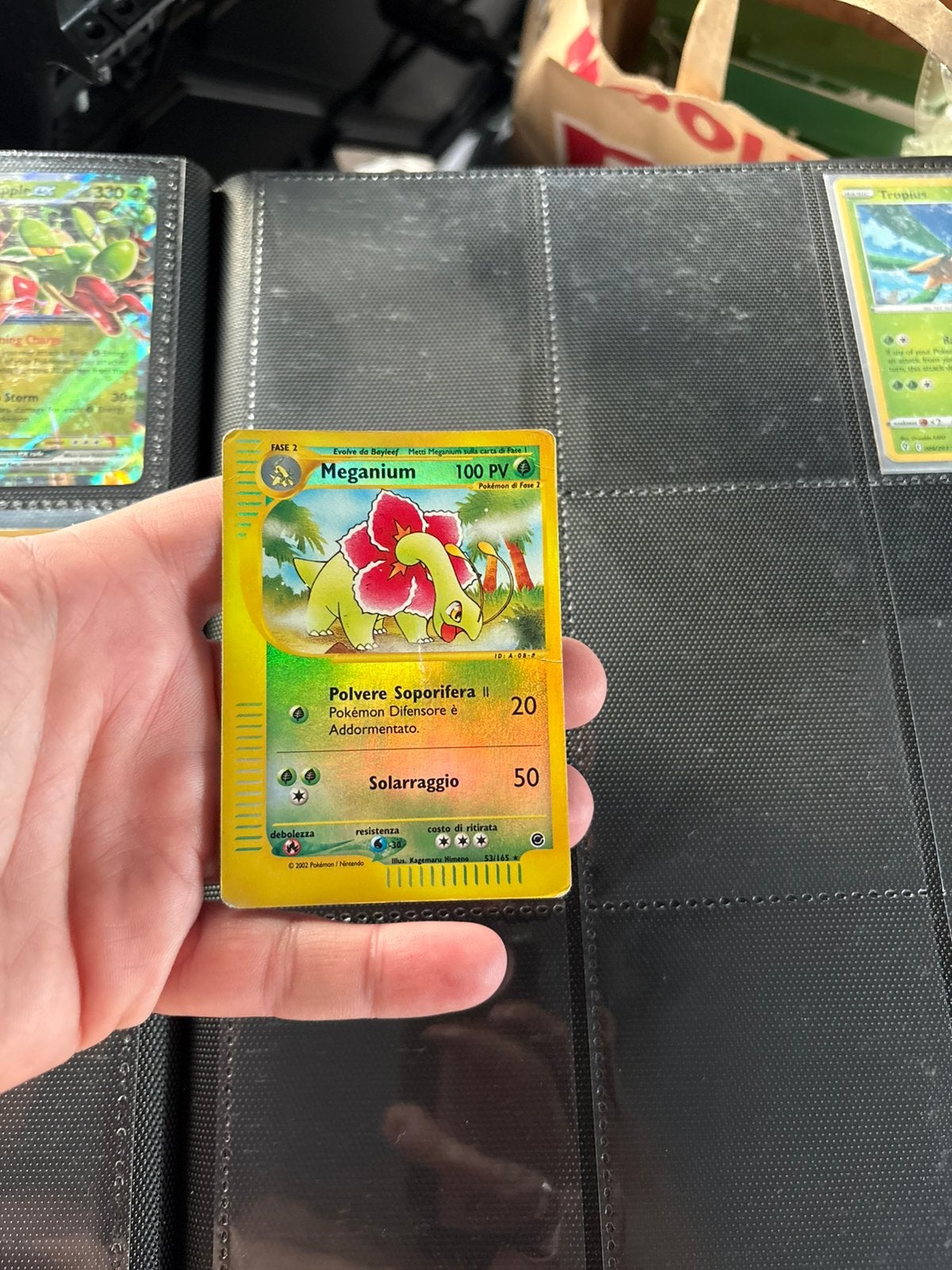 Meganium, Ophalen of Verzenden, Zo goed als nieuw, Meerdere kaarten, Foil