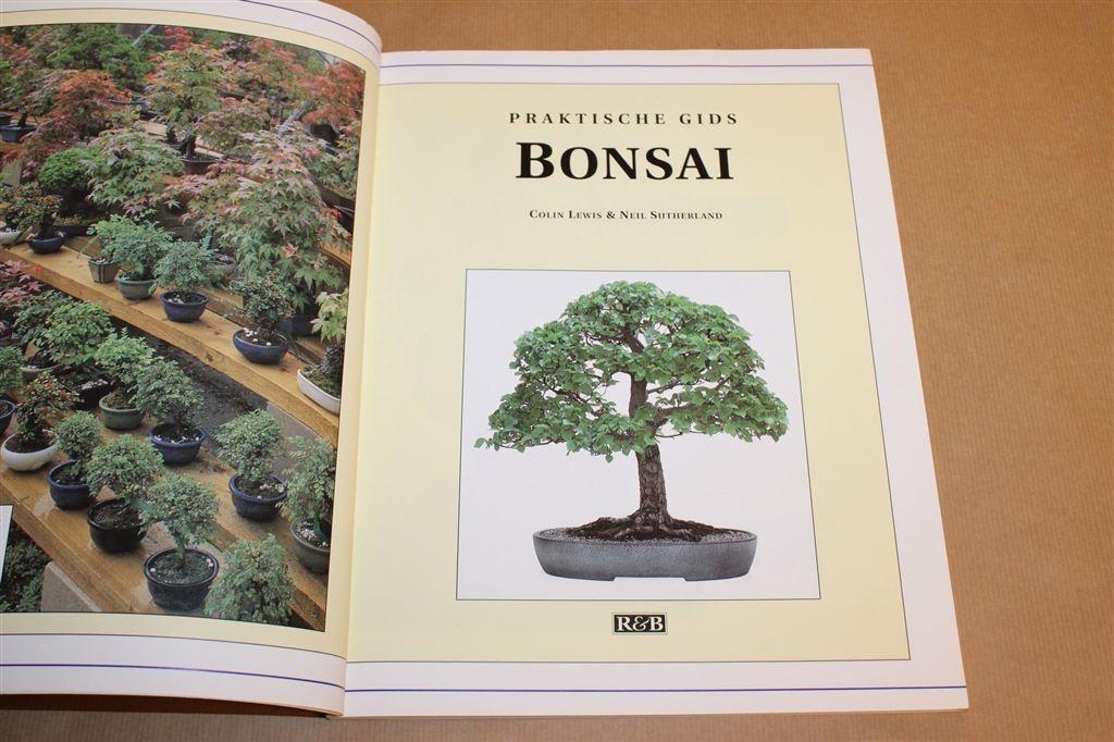 Bonsai — Praktische Gids, Verzorging & Stijlen, Ophalen of Verzenden, Gelezen