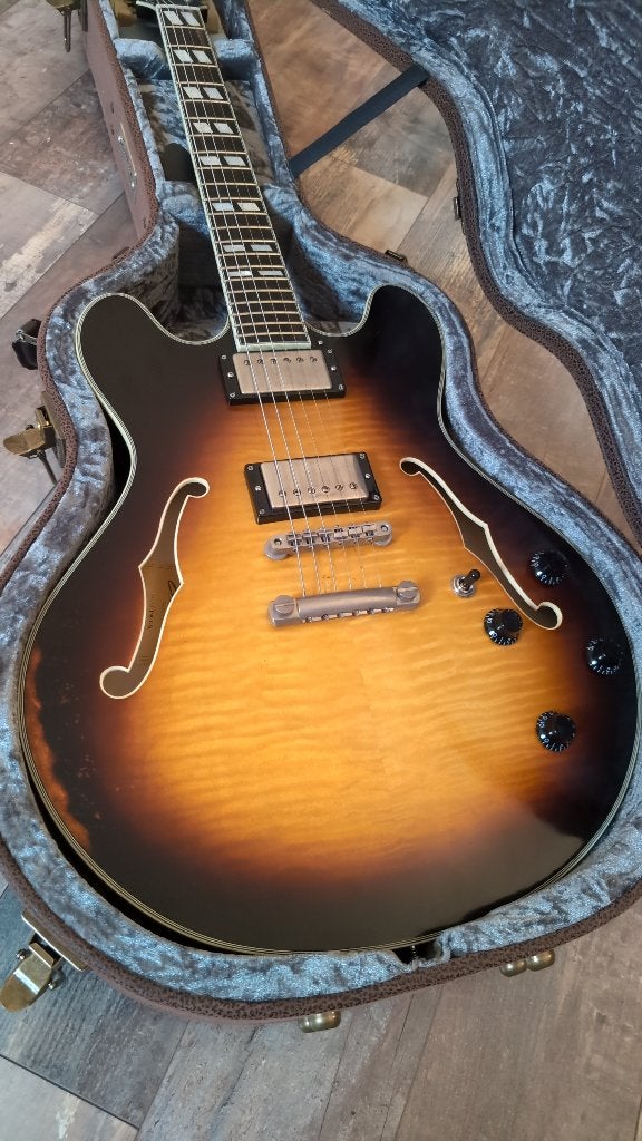 Eastman T59/v, Muziek en Instrumenten, Ophalen, Zo goed als nieuw, Hollow body, Overige merken