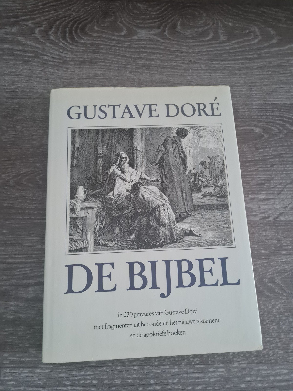 De Bijbel in 230 gravures van Gustave Doré - In goede staat, Boeken, Ophalen, Zo goed als nieuw, Gustave Doré, Christendom | Katholiek