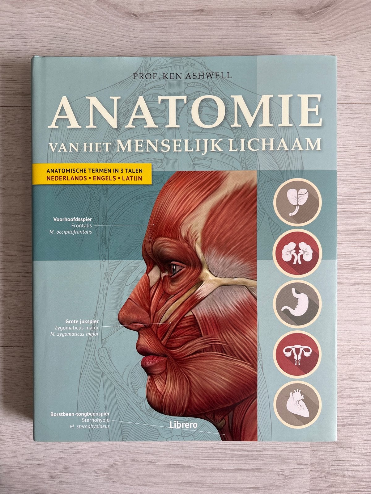 Anatomie van het Menselijk Lichaam - Prof. Ken Ashwell, Ophalen of Verzenden, Beta, Zo goed als nieuw, HBO