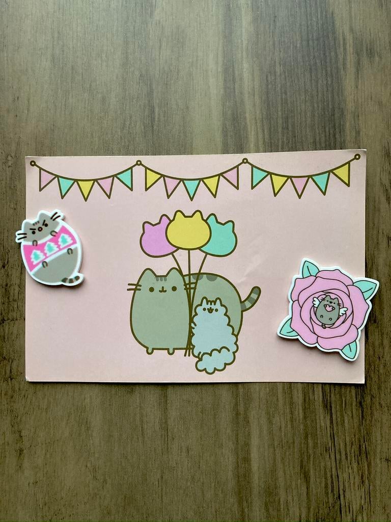 Pusheen de kat • kleine magneten met kaart, Ophalen of Verzenden, Gebruikt