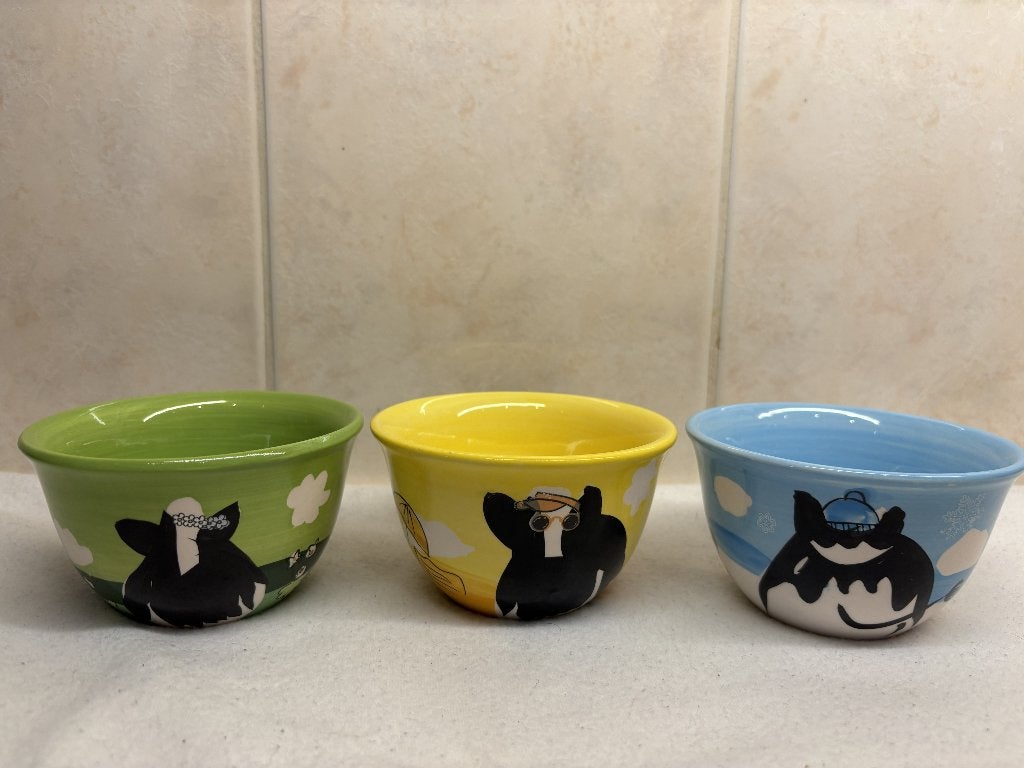 IJs Schaaltjes Ben & Jerry's (2), Ophalen of Verzenden