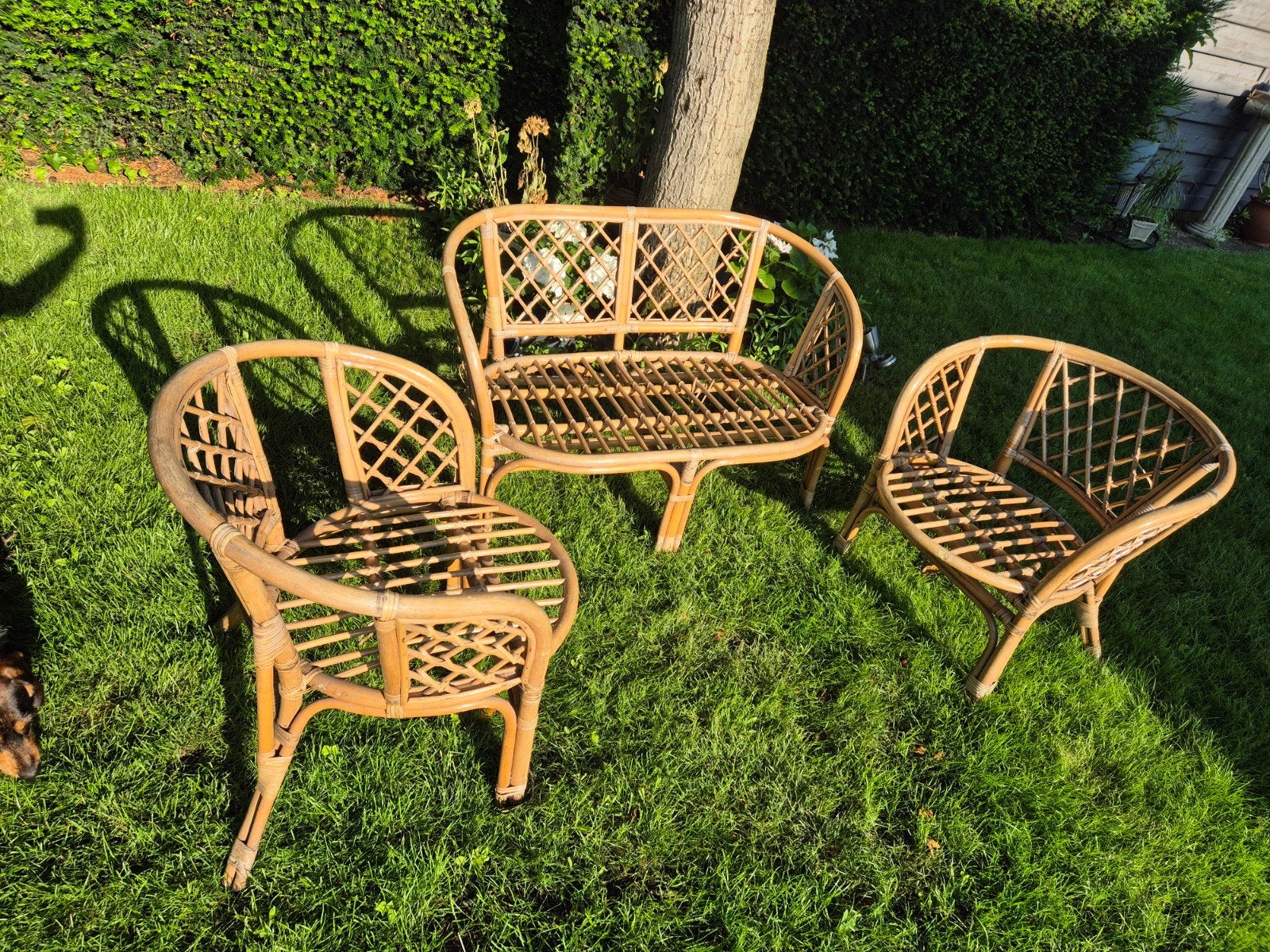 Rotan tuinmeubelset: bank en twee stoelen, Ophalen, Gebruikt, Rotan
