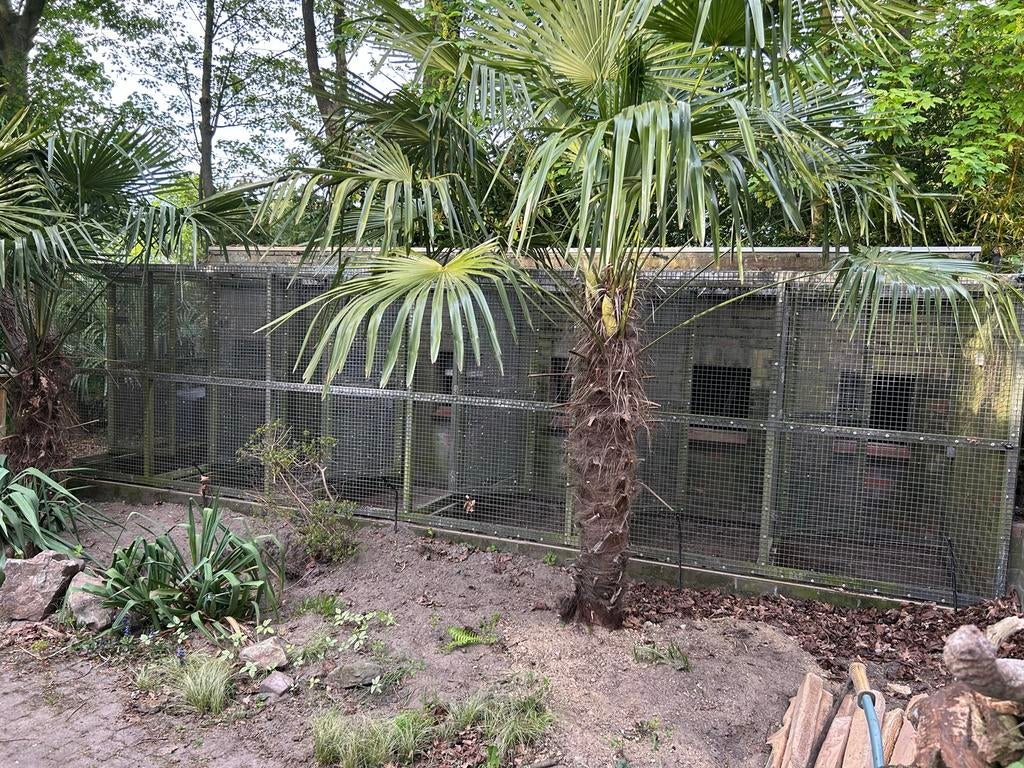 Volière vogels, Dieren en Toebehoren, Ophalen, Gebruikt, Aluminium, Vogelkooi