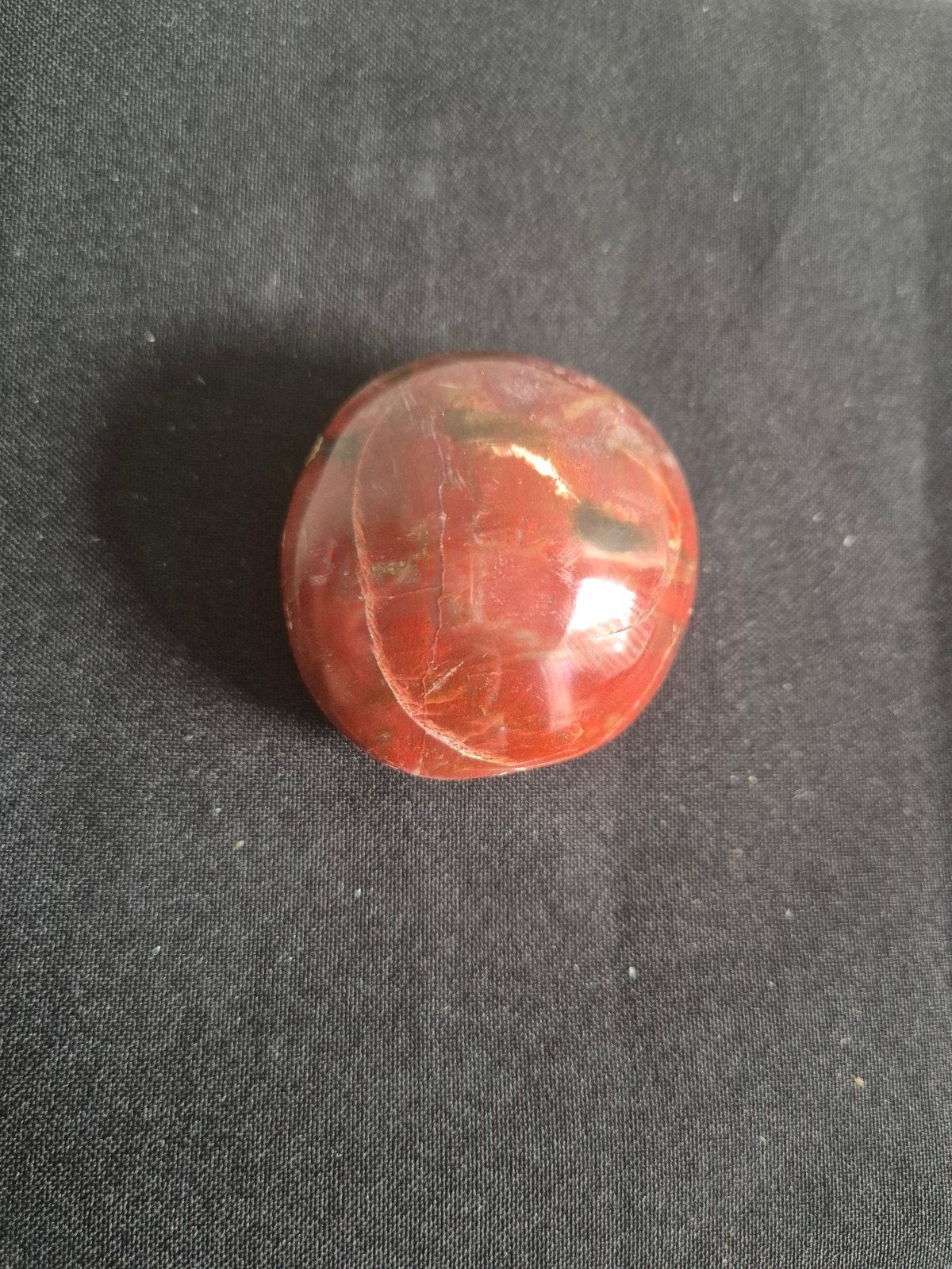 Versteend hout - 82 gram, Ophalen, Nieuw
