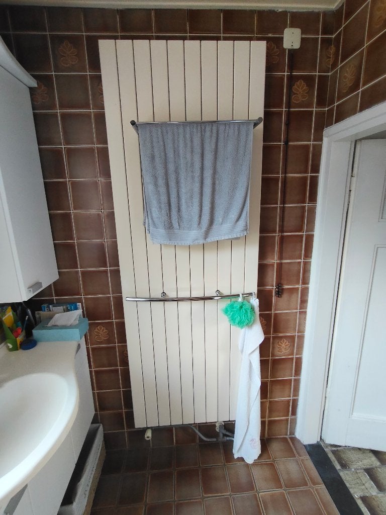Designradiator badkamer, Doe-het-zelf en Verbouw, Ophalen, Radiator, Zo goed als nieuw, 60 tot 150 cm