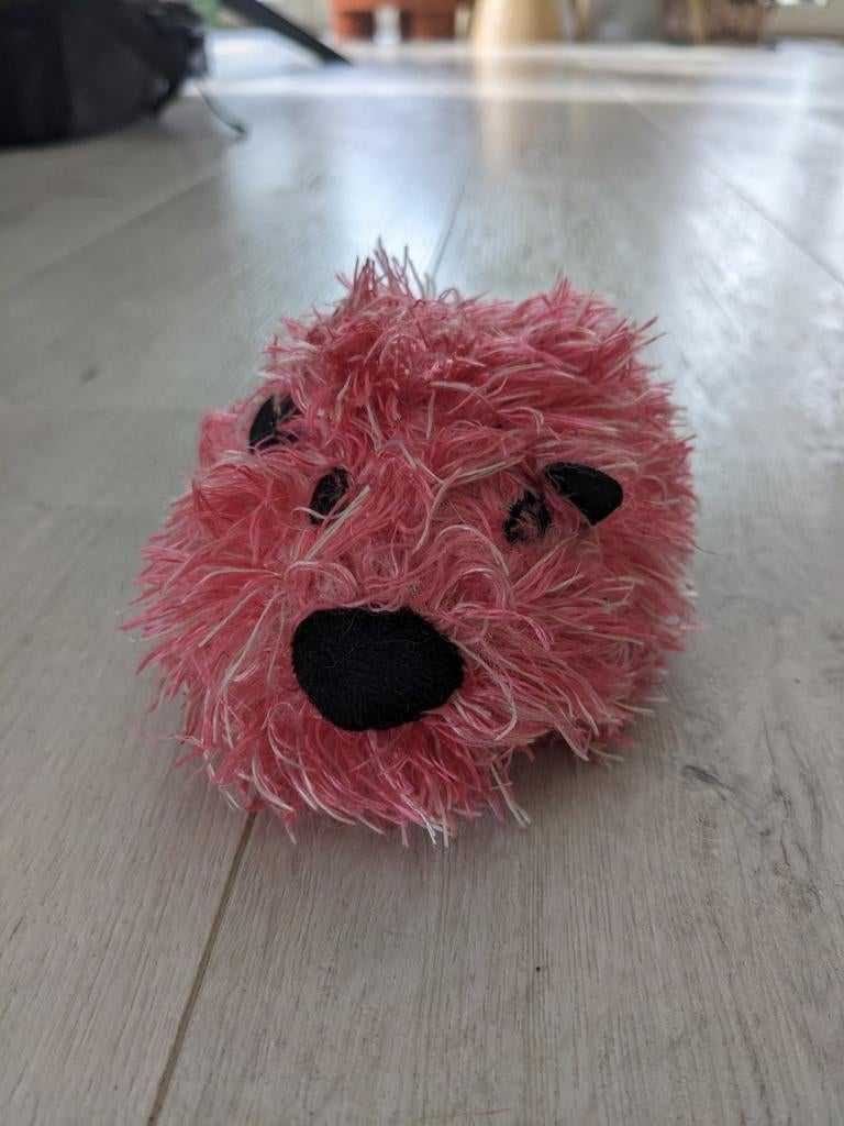 Lief! Bewegende speelmuis kat, Ophalen of Verzenden, Nieuw