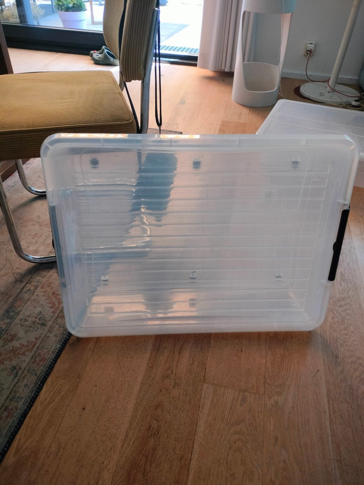 bedbox met wieltjes, opbergbak voor onder het bed, Ophalen, 75 tot 100 cm, Bak of Kist, Minder dan 35 cm