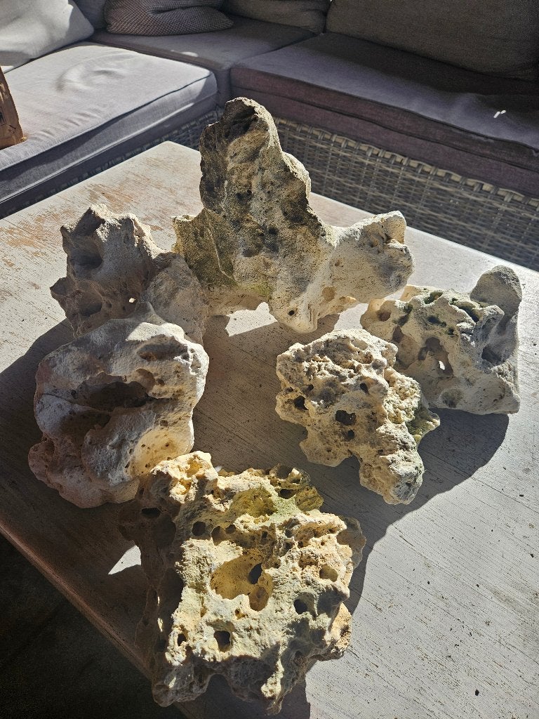 Aquarium gatensteen decoeatie, Ophalen, Zo goed als nieuw, Plant(en), Steen of Hout