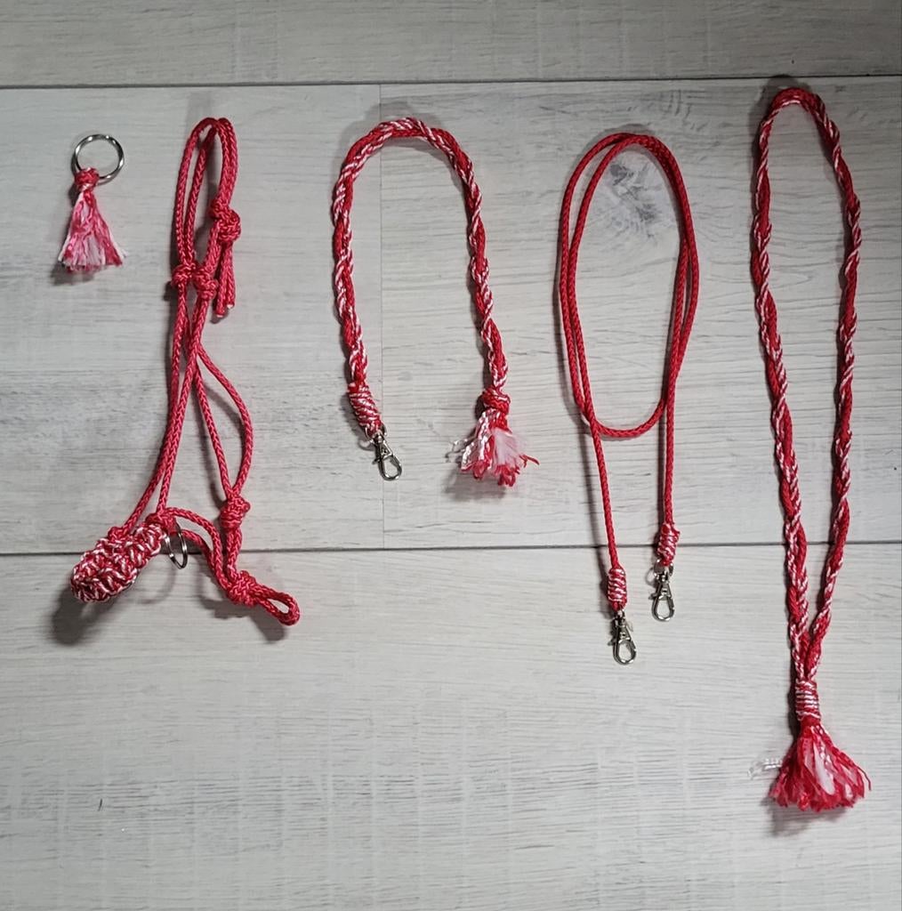 5-delig Hobbyhorse set rood/wit, Ophalen of Verzenden, Nieuw, Jongen of Meisje