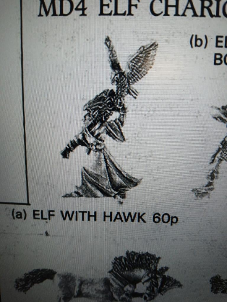 GEZOCHT! Wood elf mage, Ophalen of Verzenden, Warhammer