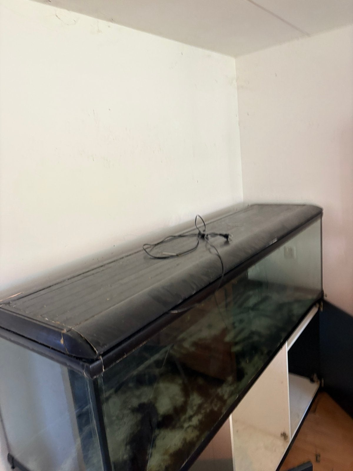 Aquarium/groot/ 200cm, Ophalen, Zo goed als nieuw, Leeg aquarium