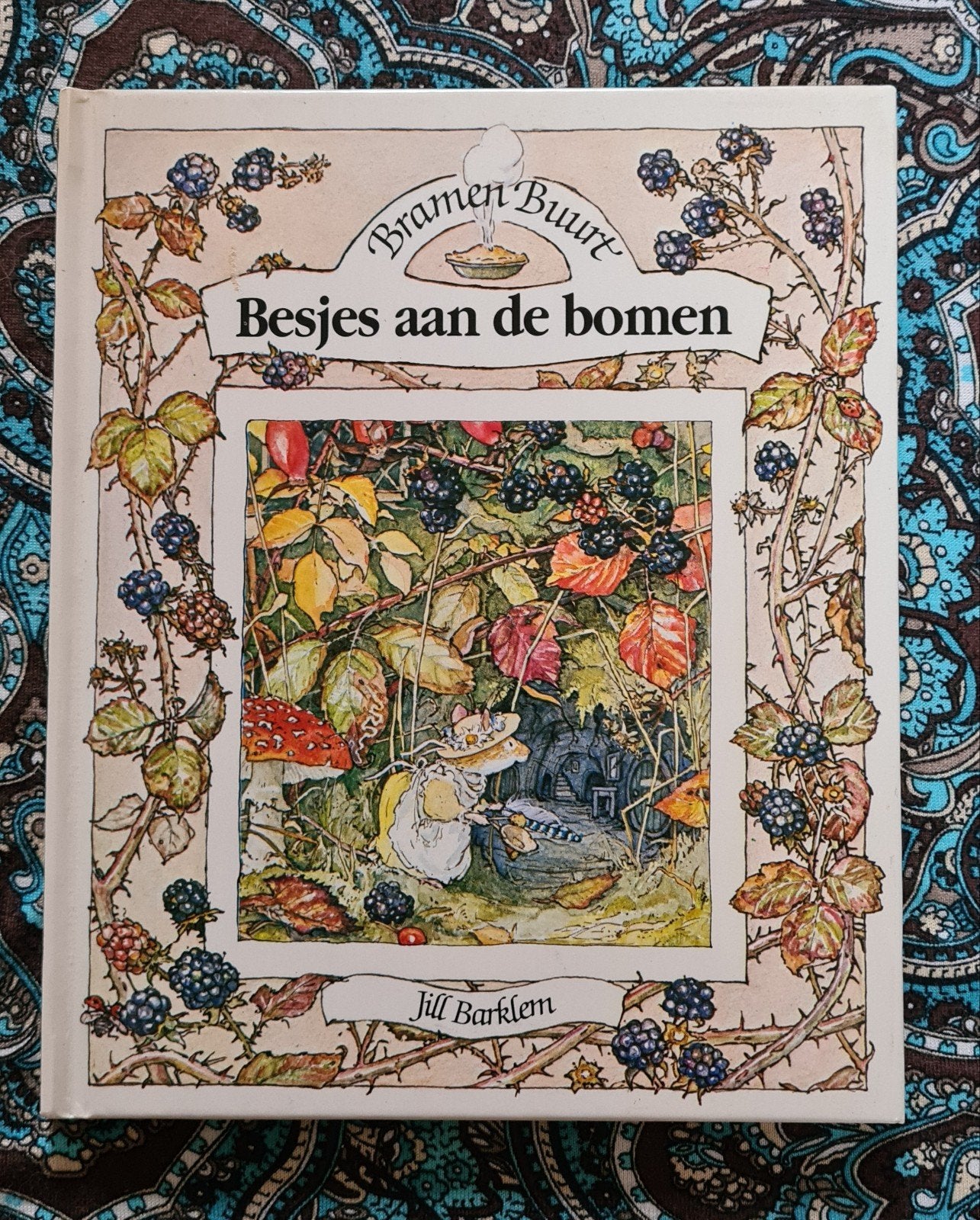 Bramen Buurt Zon in de morgen & Besjes aan de bomen (2 boeke, Boeken, Ophalen of Verzenden, Zo goed als nieuw, Jill Barklem, Sprookjes