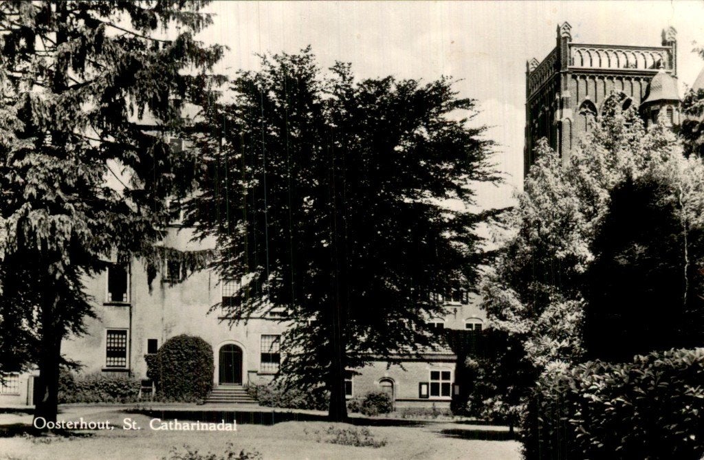 Oosterhout - St. Catharinadal - Gezicht, Ophalen of Verzenden, 1940 tot 1960, Gelopen, Noord-Brabant