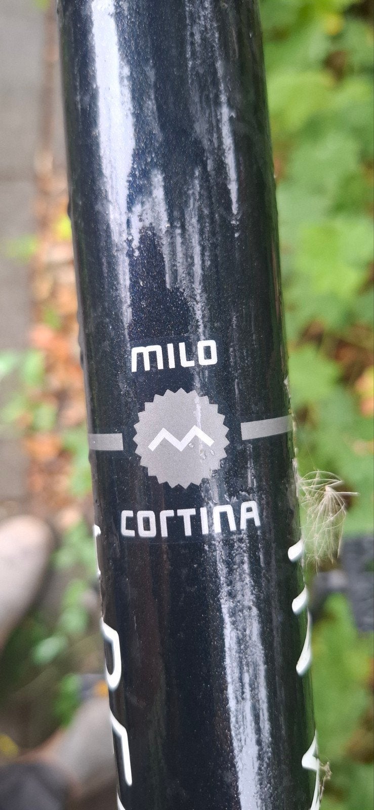 Zeer degelijke herenfiets - Milo Cortina, Gebruikt, Velgrem, 57 tot 61 cm, Ophalen