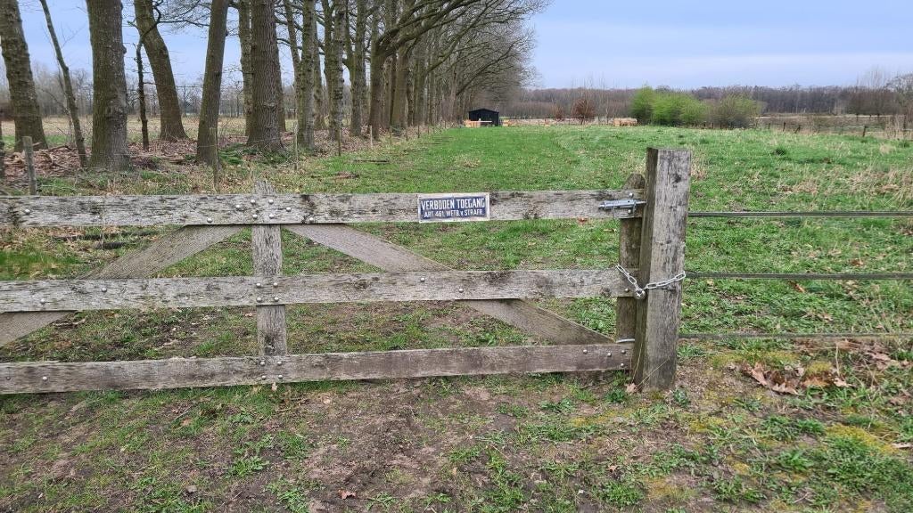 TE HUUR  weiland  wei  apeldoorn klarenbeek tonden, Dieren en Toebehoren