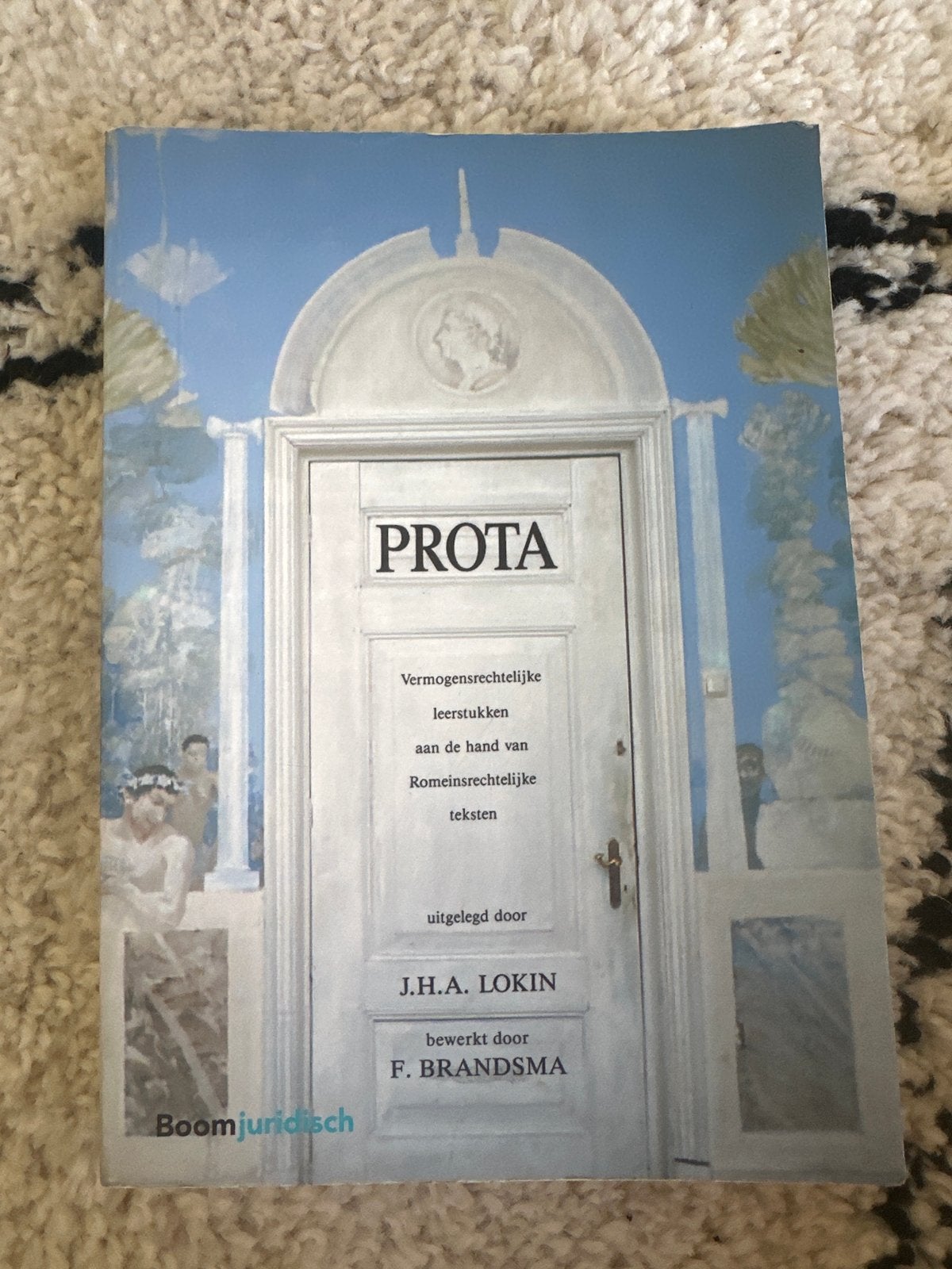 Prota, 10e druk (Lokin & Brandsma), Boeken, Verzenden, Gamma, Gelezen, WO